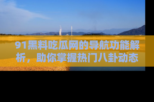 91黑料吃瓜网的导航功能解析，助你掌握热门八卦动态