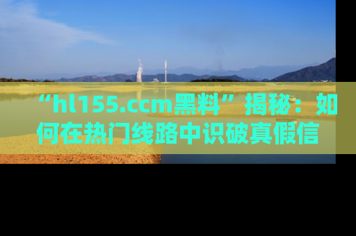 “hl155.ccm黑料”揭秘：如何在热门线路中识破真假信息