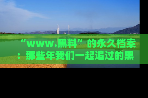 “www.黑料”的永久档案：那些年我们一起追过的黑料真相