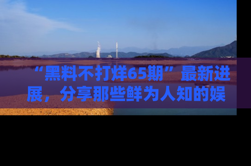 “黑料不打烊65期”最新进展，分享那些鲜为人知的娱乐八卦