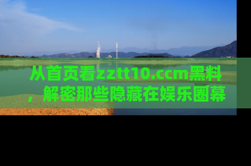 从首页看zztt10.ccm黑料，解密那些隐藏在娱乐圈幕后的丑闻故事！