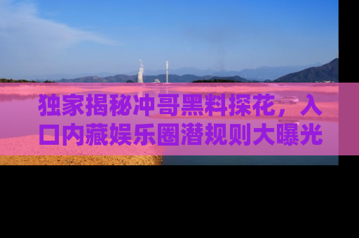 独家揭秘冲哥黑料探花，入口内藏娱乐圈潜规则大曝光