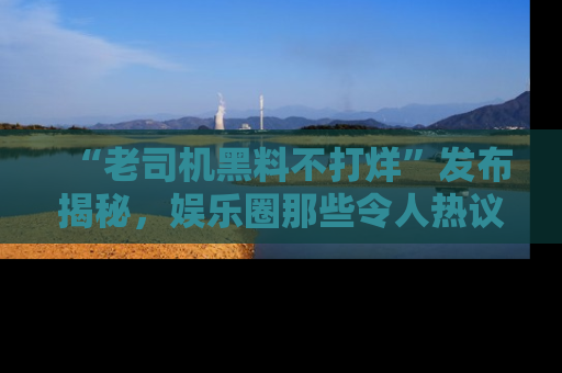 “老司机黑料不打烊”发布揭秘，娱乐圈那些令人热议的黑暗秘密！