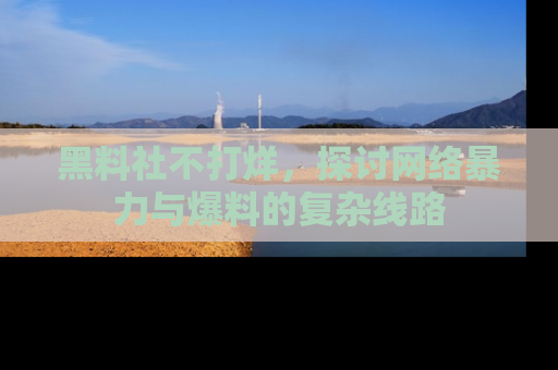 黑料社不打烊，探讨网络暴力与爆料的复杂线路