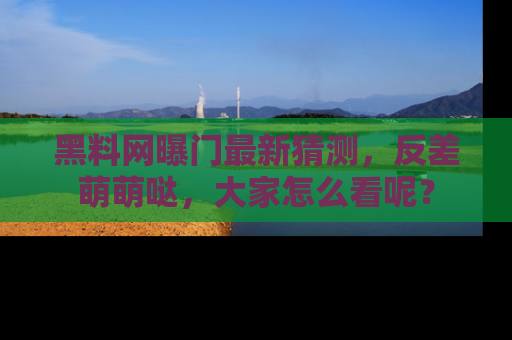 黑料网曝门最新猜测，反差萌萌哒，大家怎么看呢？