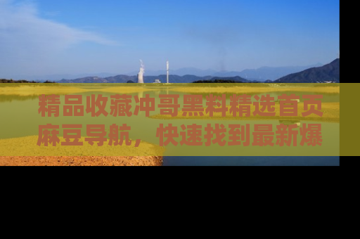 精品收藏冲哥黑料精选首页麻豆导航,快速找到最新爆料