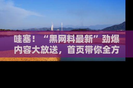 哇塞！“黑网料最新”劲爆内容大放送，首页带你全方位了解哦，小可爱们