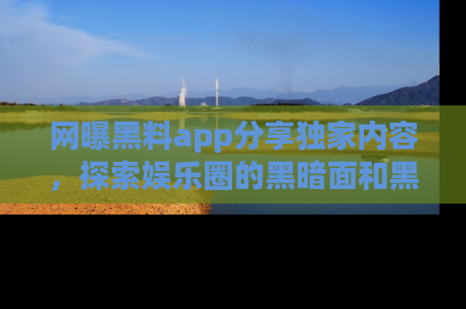 网曝黑料app分享独家内容,探索娱乐圈的黑暗面和黑料
