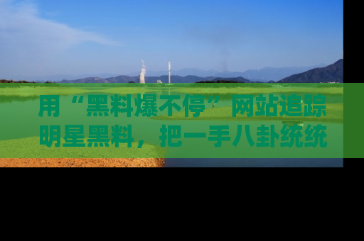 用“黑料爆不停”网站追踪明星黑料，把一手八卦统统收进你的后宫中！