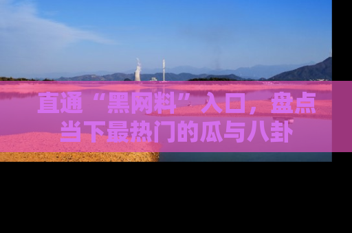 直通“黑网料”入口,盘点当下最热门的瓜与八卦