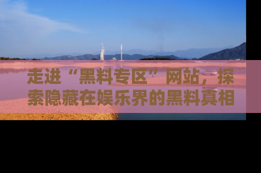 走进“黑料专区”网站,探索隐藏在娱乐界的黑料真相