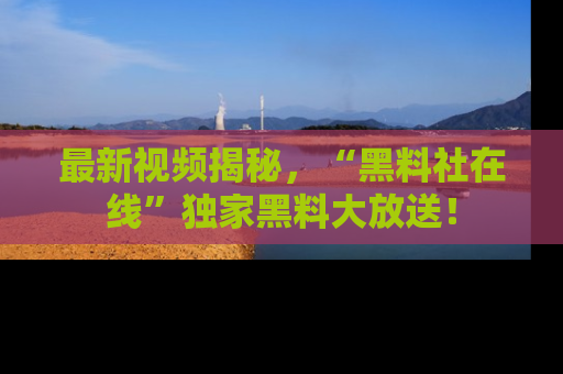 最新视频揭秘,“黑料社在线”独家黑料大放送!